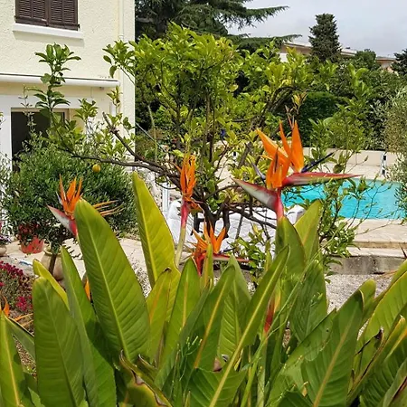 De Charme Centre Au Calme Prázdninový dům Cannes